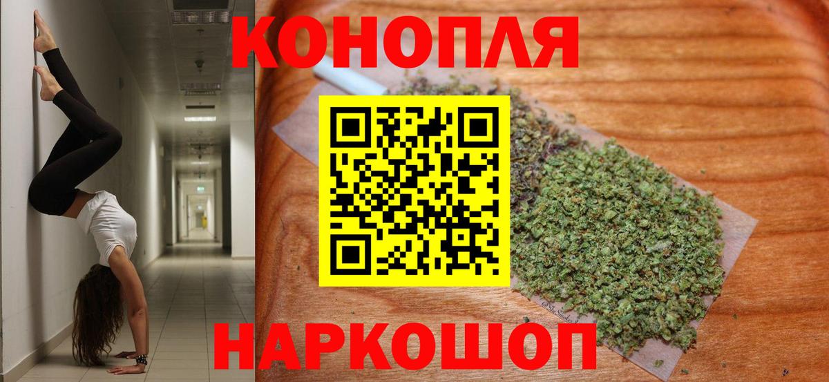 Бошки марихуана гибрид Касимов